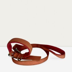 Medium Padded Leach and Collar