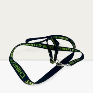 Small Collar with Leash