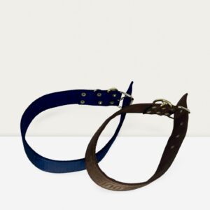 Adult Collar