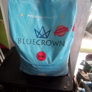 BLUE CROWN   2mm