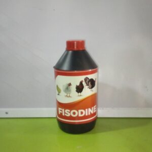 FISODINE (1L)